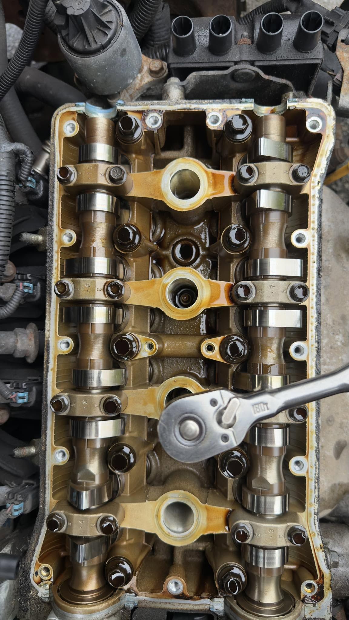 729275354 122110720263360061 8181988299136772637 n